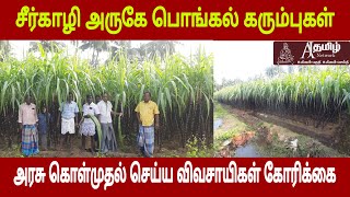 சீர்காழி அருகே பொங்கல் கரும்புகளை அரசு கொள்முதல் செய்ய விவசாயிகள் கோரிக்கை