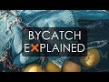 Bycatch - Explained