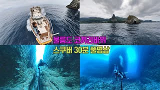 로컬  다이버가 보여주는 넋놓고 보는 울릉도 코끼리 바위 스쿠버 다이빙 30분 풀영상.