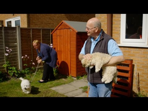 Puppy playtime - Choose the Right Puppy for You: Episode 1 Preview - BBC Two Puppy playtime - Choose the Right Puppy for You: Episode 1 Preview - BBC Two