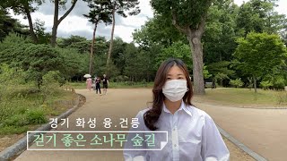 경기 화성 융건릉 산책하기 좋은 곳 조선왕릉~ 아이와 함께 가볼만한곳, 역사공부 놀면서, 가족나들이 데이트하기 좋아요