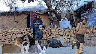 Building shelter walls with natural materials to prevent winter cold