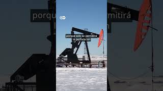 “Bomba de carbono”, así llamamos los grupos ecologistas al proyecto petrolero Willow del Ártico