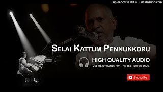 Selai Kattum Pennukkoru High Quality Audio Song | Hamsalekha