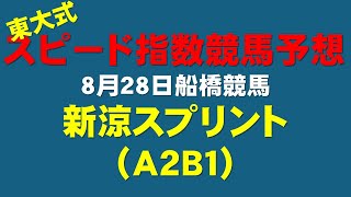 【新涼スプリント２０２４】東大式スピード指数による競馬予想