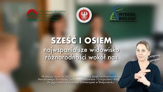 Pająki i owady - różnorodność wokół nas!-dr Agata Kostro-Ambroziak i mgr Urszula Suprunowicz.