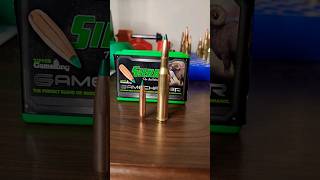 270 Winchester 175 gr GameKing