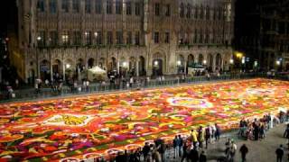 Flower Carpet Festival 布魯塞爾   鮮花地毯節 Grussels grand place