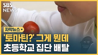 '토마틴' 그게 뭔데?…초등학교 집단 배탈 (자막뉴스) / SBS