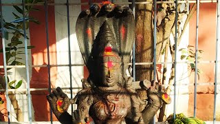 Most Powerful Nagamma Nagathosam Nivarthi Temple | அதிக சக்தி வாய்ந்த நாகாத்தம்மன் புற்று கோவில்