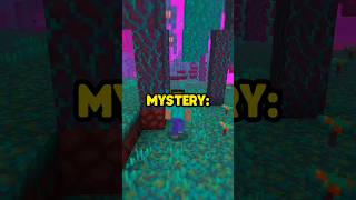 Piglin \u0026 Zombie Mob MYSTERY! 🤫 | #shorts #minecraft