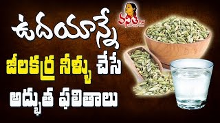 జీలకర్ర వాటర్ వల్ల కలిగే ఉపయోగాలు II Jeera Seeds Benefits II Health Benefits of Cumin II Telugu