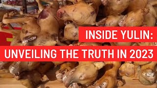 Inside Yulin :Unveiling the truth in 2023