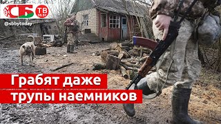 Украинские мародеры грабят трупы иностранных наемников – откровения американских легионеров