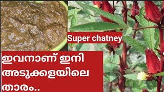 പുളി വെണ്ട ഇല chutney // നല്ല എരിവും പുളിയും ഉളള Chutney //Rosella leaf Recipe //Gongura chutney //