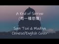 A Kind of Sorrow (有一種悲傷) -- A-Lin (Sam Tsui & Madilyn Chi/English Cover) {Lyrics video with pinyin}