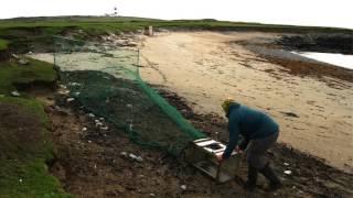 Portable Heligoland Trap for bird ringing