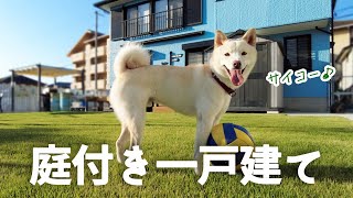 【愛犬家の夢】庭付き一戸建て！