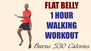 FLAT BELLY 1 Hour Walking Workout/ Walk at Home Fast Burn 530 Calories