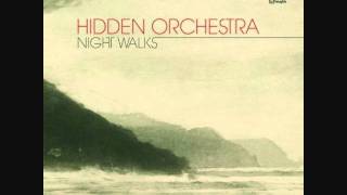 Hidden Orchestra - Strange