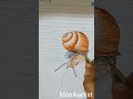 Snail Drawing shorts | Snail shorts | Snail drawing short video | drawing shorts | easy draw shorts