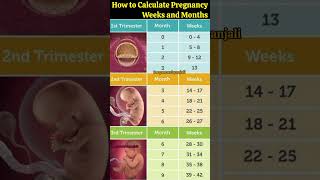 How to Calculate Pregnancy by weeks ,Months and Trimester 💯#shorts #pregnancy #cutebaby