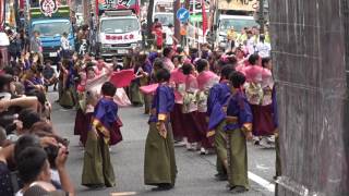 常笑　2016どまつり8/28（日）　大津通パレード会場（東コース） 1回目