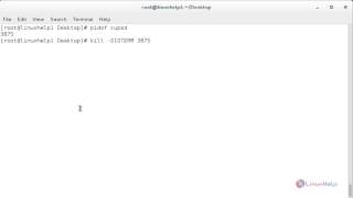How to use Kill, Pkill and Killall to Terminate a Process in Linux