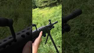 Airsoft versus hornets