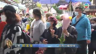 香港新聞｜無綫新聞｜21/01/23 要聞｜[現場]旺角花墟人流多 有店主稱蘭花及「兔仔花」最受歡迎