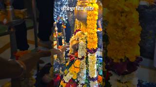 Kondeshwar Shiv Mandir 🙏😍🐍🪘🌿 #shiv #kondeshwar