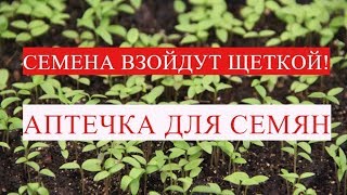 ЛЮБЫЕ СЕМЕНА ВЗОЙДУТ ЩЕТКОЙ! АПТЕЧКА ДЛЯ СЕМЯН.