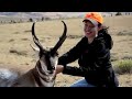 long range pursuit s3 e11 wyoming youth antelope hunt