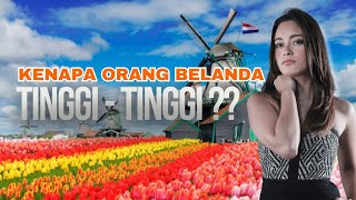 Kenapa Orang Belanda Tinggi ? Ternyata Ini Fakta Negara Belanda