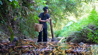 Mutant Life Primitive - eel trap - catch snails as bait for eel trap