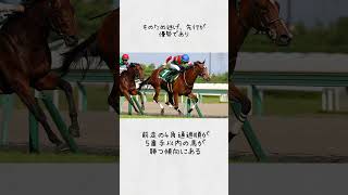 葵Sを徹底解説                                                          #競馬#中央競馬#GIII#葵S#馬