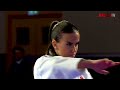 KungFu vs Karate vs Taekwondo