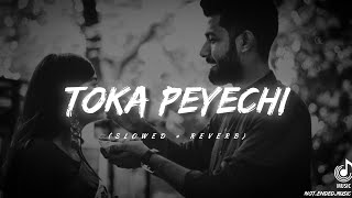 Toke Peyechi | (Slowed+Reverb ) | তোকে পেয়েছি ❤️✨ | Not ended music |#lofi