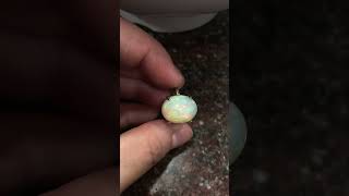 Natural Opal Ring澳寶｜歐泊｜蛋白石