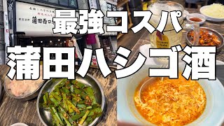 蒲田ではしご酒したらコスパが凄すぎた！しゃろうさんBGM ver