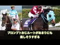 【競馬の反応集】「ここだけ競走馬の乙女ゲーの世界」に対する視聴者の反応集