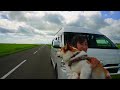 kogi kotaro travels through hokkaido in a camper.