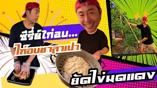 ซีรี่ย์ไก่ ตอน ตีรังมดแดง เอาไปทำซาลาเปาไก่ไข่มดแดง ที่ร้านป่านแป้งสเต็ก