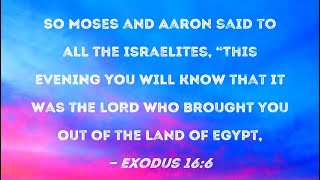 Exodus 16