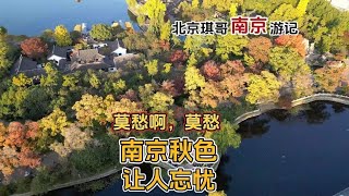 北京琪哥来南京赏秋，这免费的4A公园秋景迷人，有首老歌唱是这里