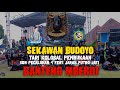 TERBARU!!!TARI KOLOSAL PEMBUKAAN BANTENG MBEROT//SEKAWAN BUDOYO(SDN PECALUKAN 4)ft JARAN PUTRO JATI