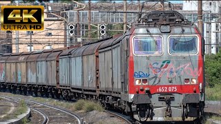 Trains at station - Regional, freight, intercity and other trains at Roma Tuscolana station