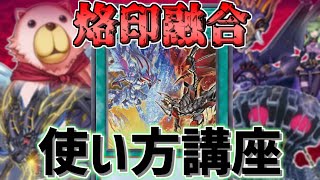 【遊戯王】烙印融合を使いこなそう！【新カード紹介】【勇者による】