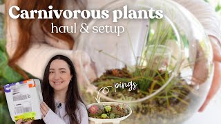 Carnivorous Houseplant Unboxing & Adding to My Terrarium 🧚