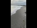 房総の海７夕暮れの砂浜・桜貝 the beach on the boso peninsula７